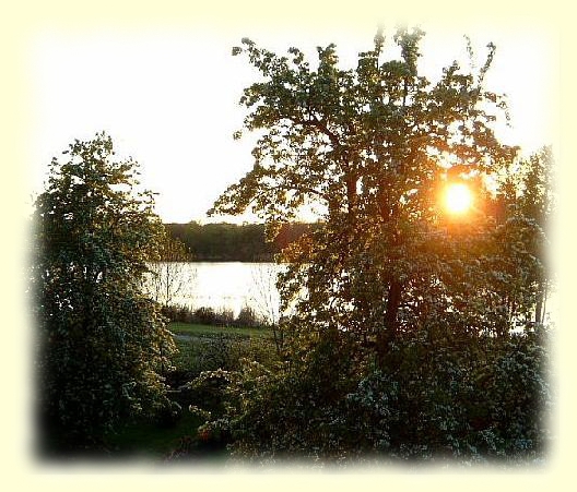 Blick vom Apartment zum Garten und See