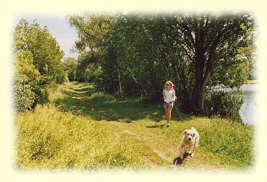 Spaziergang mit Hund zwischen Badesee und unterem See