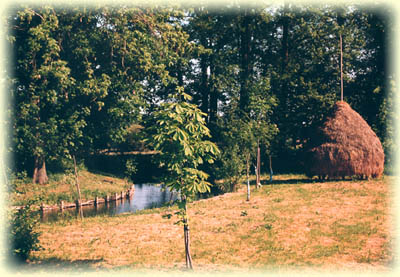 Der Spreewald
